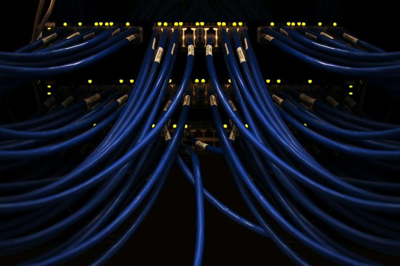 Kommunikationsanlage Blaue Netzwerkkabel, die ordentlich in einem Rack angeordnet sind, mit leuchtenden Anschlüssen.